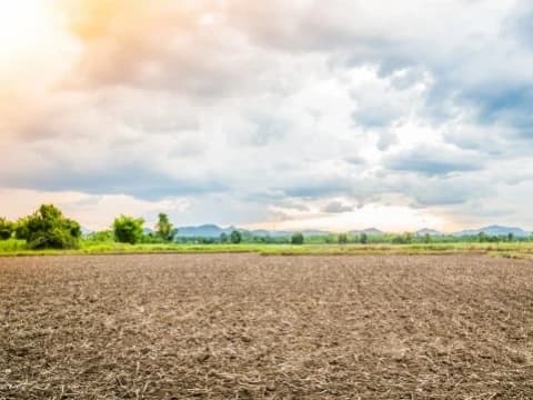 Deretan Konflik Agraria Terbaru: dari Rempang, Pohuwato, hingga Seruyan