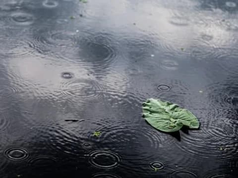 Waspada Potensi Bencana Alam, Masyarakat Perlu Pantau Prakiraan Cuaca sebelum Bepergian