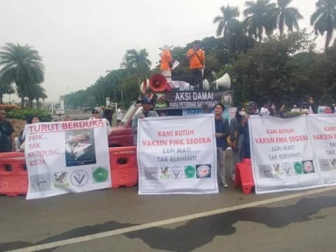 Puluhan Peternak Sapi Desak Pemerintah untuk Mengatasi Wabah PMK