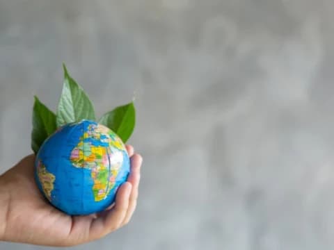 Pemanfaatan Mayat Manusia sebagai Pupuk Kompos dalam Pandangan Islam