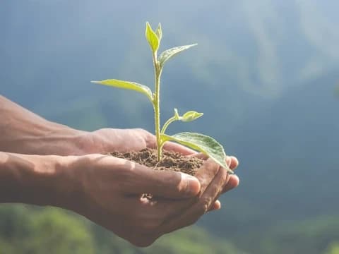 Khutbah Jumat: Cinta Lingkungan sebagai Bagian dari Iman dan Syukur