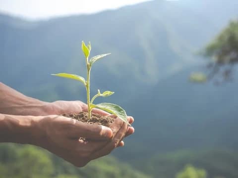 Khutbah Jumat: Bencana sebagai Alarm Peringatan dari Alam