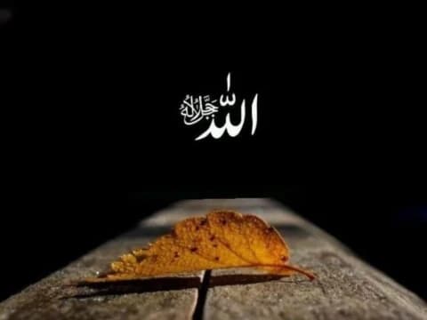 Sifat Baqa, Kajian Perenialitas dan Keabadian Tuhan