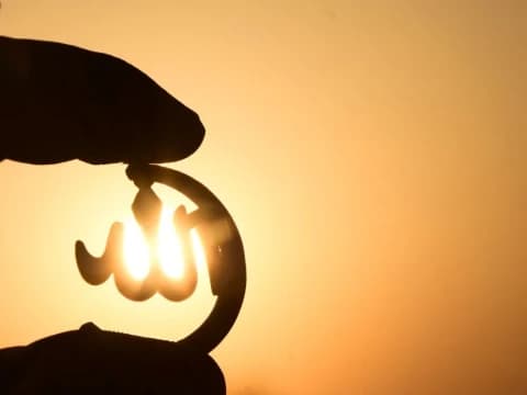 Allah Menjamin Rezeki Seluruh Makhluknya? Ini Penjelasan Ayat 6 surat Hud