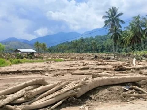 107 Ribu Hektare Sawah dan Infrastruktur Pertanian Rusak Akibat Bencana di Sumatra