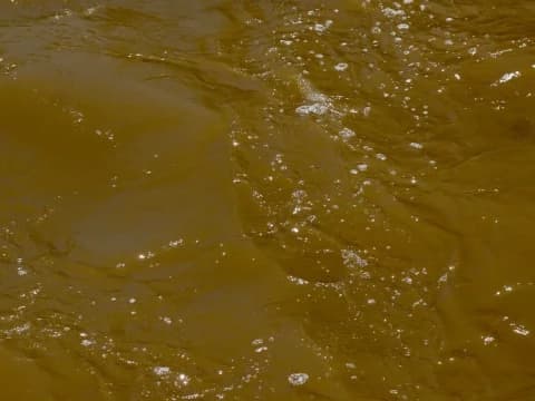 3 Prinsip Kebijakan Pemerintah dalam Antisipasi Bencana: Fikih Keselamatan Rakyat