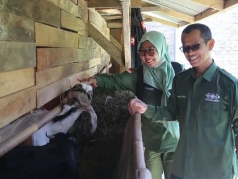Bantuan Kambing Bergulir Pulihkan Warga Terdampak Gempa Bumi Cianjur