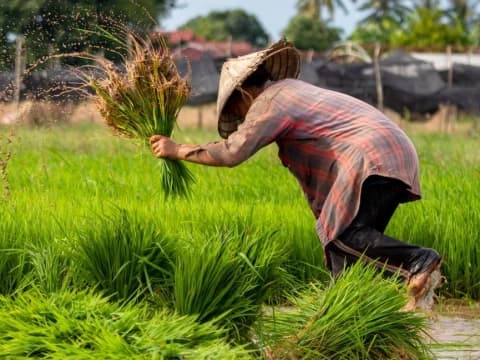 Kultum Ramadhan: Hidup di Dunia, Sebuah Persinggahan Menuju Keabadian