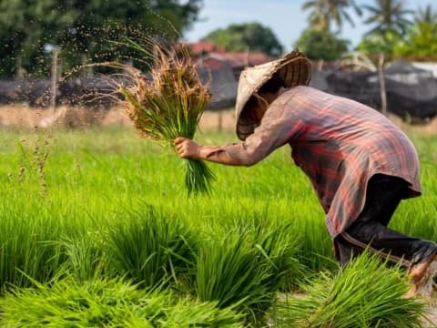 Kultum Ramadhan: Rezeki Sudah Ditentukan, Namun Ikhtiar Tetap Wajib  