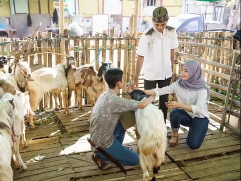 Hukum Berutang untuk Membeli Hewan Kurban