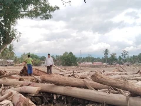 Deforestasi Perparah Bencana Ekologis di Sumatra, Pemerintah Diminta Benahi Tata Kelola Hutan