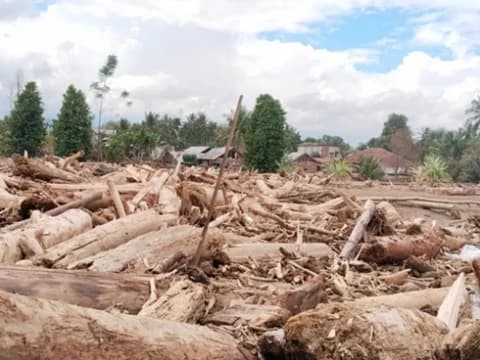 Bencana di Sumatra, Dampak Tata Kelola Hutan yang Buruk, Ekspansi Sawit, dan Deforestasi Masif