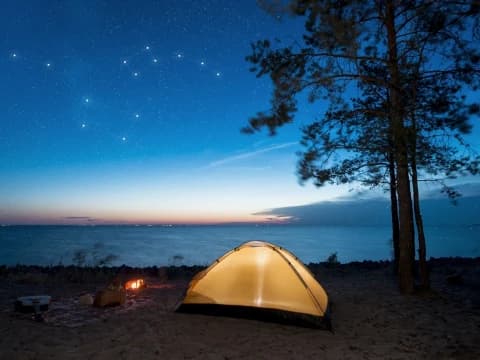 3 Alternatif Rayakan Malam Tahun Baru 2024 yang Seru Tanpa Kebisingan