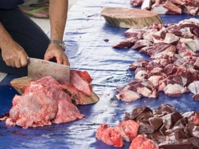 Bolehkah Daging Kurban Wajib dan Sunnah Dicampur? Pahami Ketentuannya