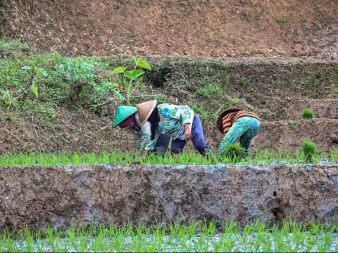 Dibahas Cak Imin dan Gibran, Akademisi Jelaskan Tantangan Program Dana Desa untuk Tingkatkan Ekonomi
