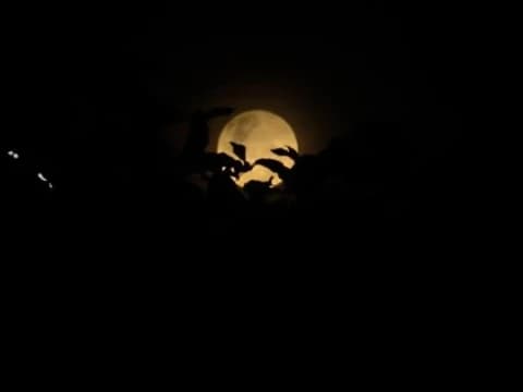 Ini Asal-Usul Penamaan Rabiul Akhir