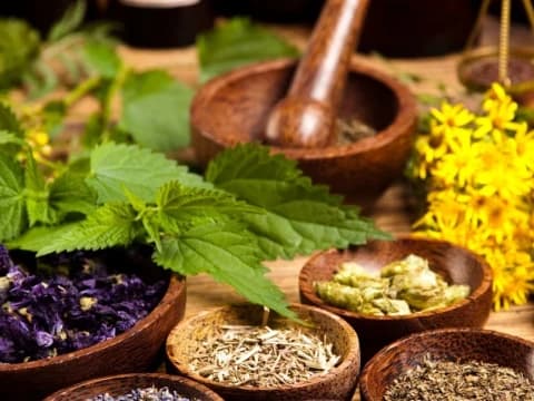 3 Obat Herbal Anti-Inflamasi dalam Hadits Nabi