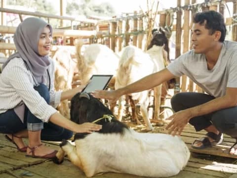 Hukum Menerima Hewan Kurban dari Non-Muslim