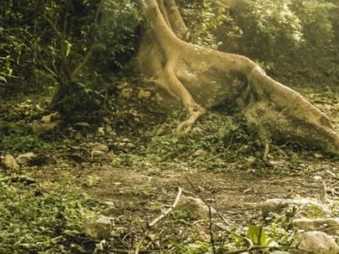 Jejak Perjuangan Seorang Pemberontak