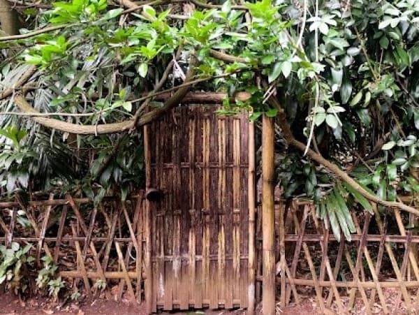 Hutan Larangan Cikondang dan Nilai Pentingnya bagi Masyarakat