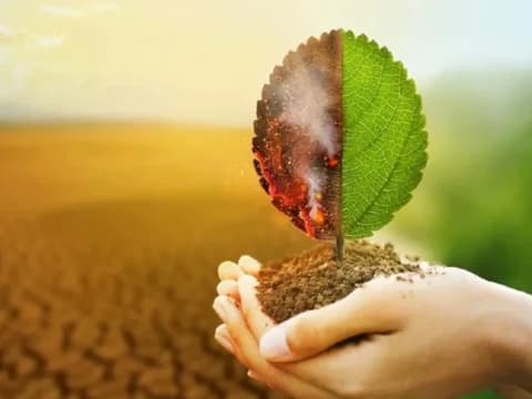 LPBINU Sebut Gelombang Panas Ekstrem di Eropa Tanda Perubahan Iklim Nyata