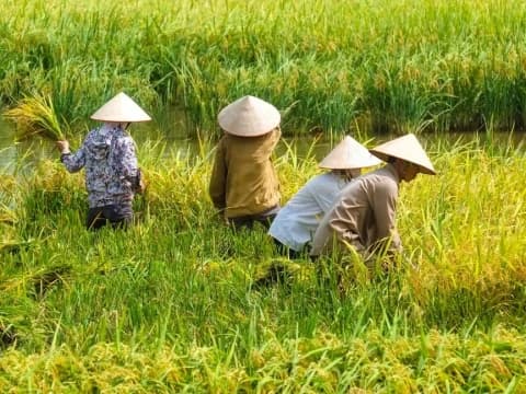 Khutbah Jumat: Kemuliaan bagi Para Petani, Menjadi Penolong Negeri