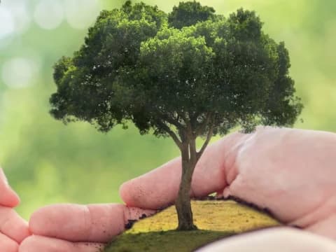 Khutbah Jumat: Sedekah Pohon, Amal yang Tak Pernah Layu