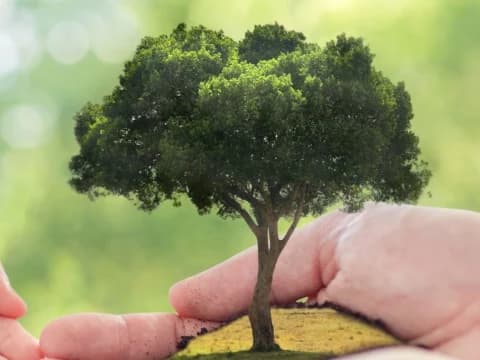 Khutbah Jumat: Jaga Lingkungan untuk Ibadah Tenang, Hidup Senang, Jalan ke Surga Terang