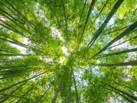 Khutbah Jumat: Menjaga Alam sebagai Amanah dari Allah