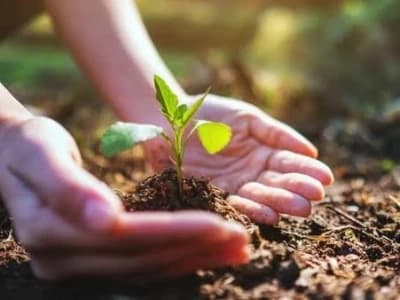 Dosen Unusa Tekankan Pentingnya Pendidikan Lingkungan Hidup Sejak Dini