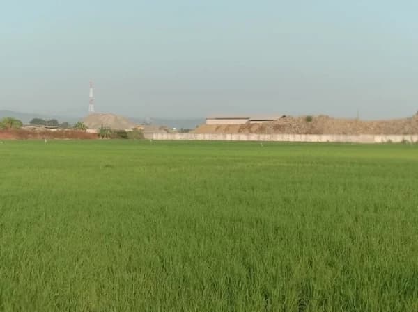 Sebagai Khalifah, KH Ubaidullah Shodaqoh: Manusia Harus Memakmurkan Bumi