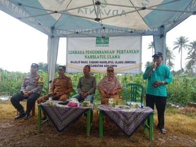 Ikhtiar Tingkatkan Produktivitas, LPPNU Berikan Penyuluhan Budidaya Tanaman Holtikultura