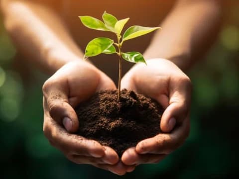 Kultum Ramadhan: Mari Pelihara Lingkungan dengan Baik