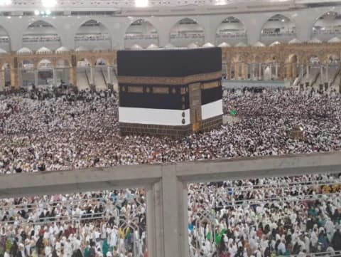 30 Persen Lansia, Bagaimana Angka Jamaah yang Wafat di Musim Haji 2023?