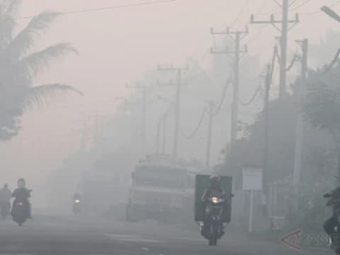 Kabut Asap Semakin Parah di Jambi, Pembelajaran Dialihkan secara Daring