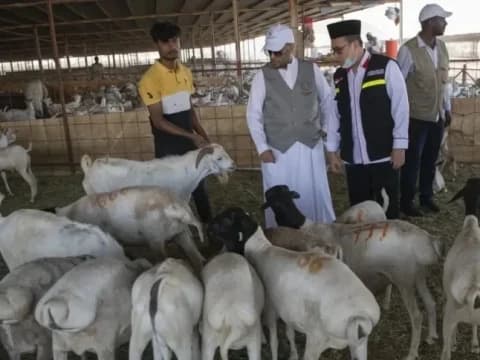 Ini Dalil Al-Qur’an Hadits tentang Dam Wajib dalam Haji dan Penjelasan Lengkapnya