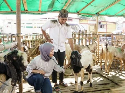 Update Kasus PMK: 274.837 Sakit, 88.664 Sembuh, 1.674 Mati