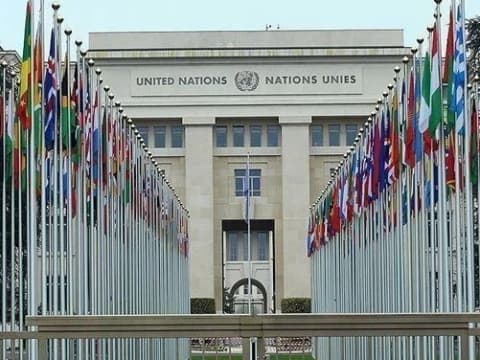 2 Tahun Genosida di Palestina: Saatnya Israel Dikeluarkan dari Keanggotaan PBB