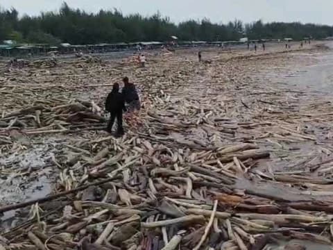 Pantai Larangan Tegal Dipenuhi Gelondongan Kayu, Diduga Dampak Banjir Bandang Guci