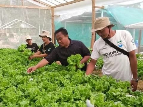 Potensi Besar Penyerapan Tenaga Kerja, Kemnaker Komitmen Berdayakan Masyarakat di Sekitar IKN