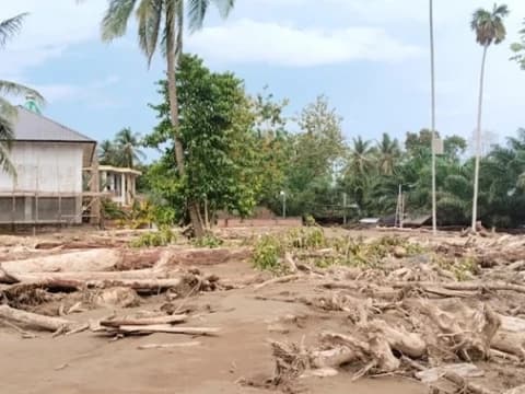 Bencana Ekologis di Sumatra, Walhi Sebut Pemerintah Lemah Menindak Penambang dan Perusak Hutan