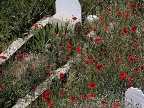 Tafsir Surat At-Tin Ayat 7 dan 8: Tanda Paling Jelas atas Kekuasan Allah Membangkitkan Manusia dari Alam Kubur