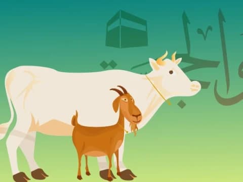 Hukum Berkurban dengan Ternak Terjangkit PMK Bergejala Berat