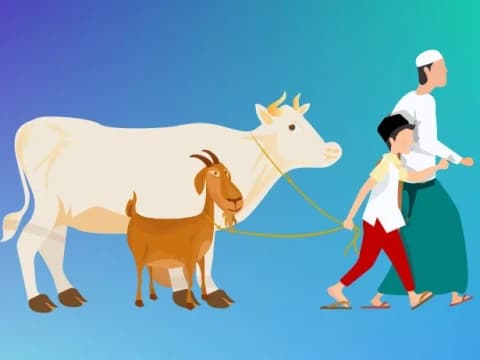 Bolehkah Daging Kurban Dibagi pada Keluarga Sendiri?