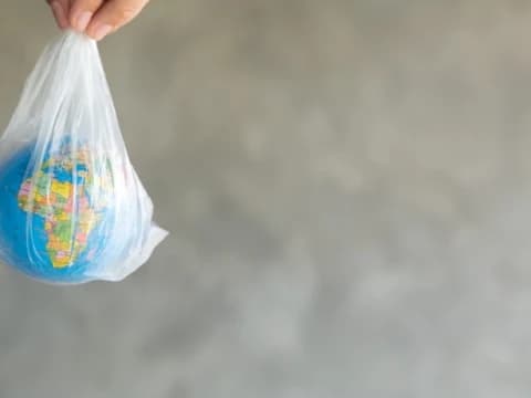 Kenapa Tobat Ekologis Penting?