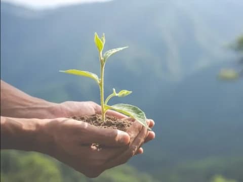 Tahun Baru 1445 H, Momentum Hijrah Menuju Lingkungan Hidup Berkualitas