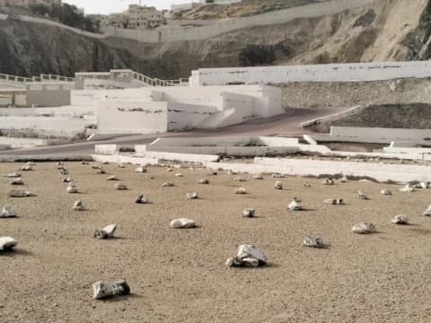 Makam Ma'la, Jejak Sejarah Islam dan Ulama Nusantara di Tanah Suci