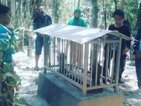 Mbah Gareng, Buyut Gus Dur yang Makamnya di Desa Ngroto Grobogan