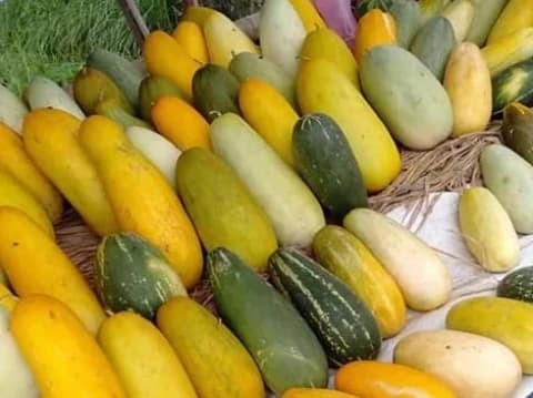 Tak Hanya Cegah Kanker, Ini Dia 7 Manfaat Timun Suri Bagi Kesehatan