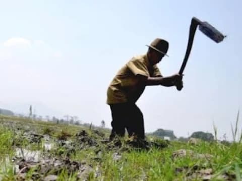 Khutbah Jumat: Jadikan Segala Aktivitas Bernilai Ibadah